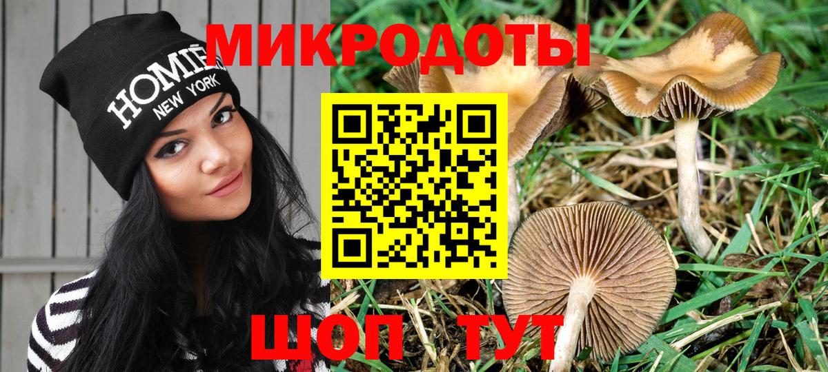 Псилоцибиновые грибы Cubensis  Галлюциногенные грибы ЛСД  Горно-Алтайск  Вход с VPN 