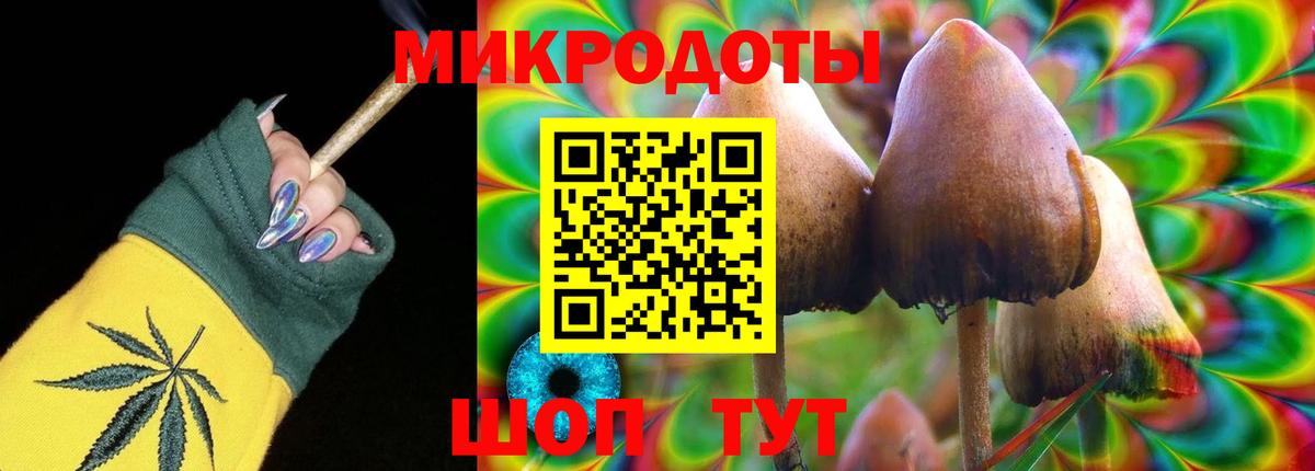 Псилоцибиновые грибы мухоморы Горно-Алтайск
